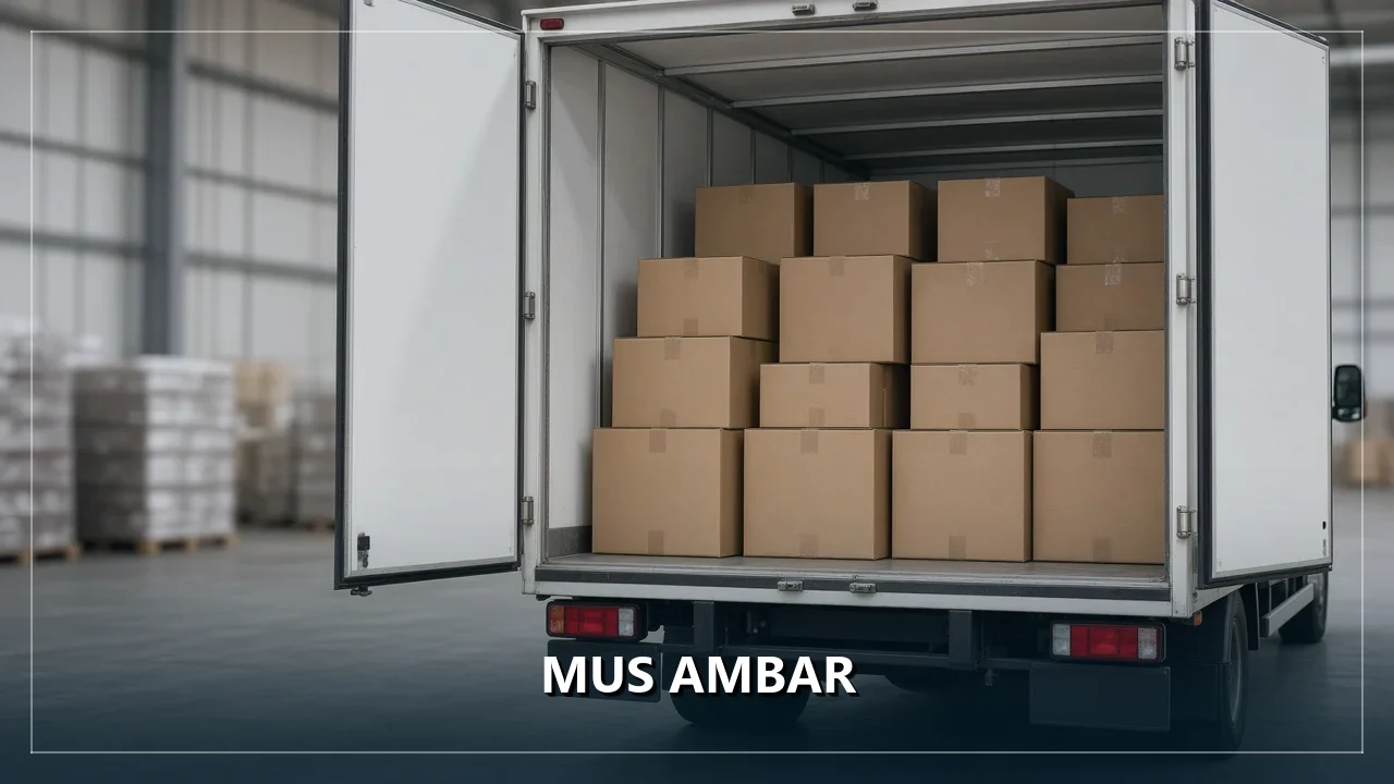 Mus Ambar